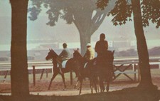 Saratoga morning workouts for sale  Libertyville