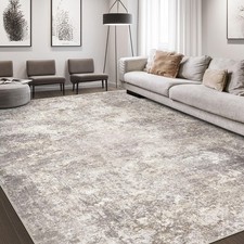 Area rug living for sale  Brentwood