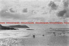 Q001126 polzeath beach for sale  MAIDSTONE