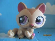 Petshop chat sphynx d'occasion  Bailleul