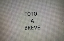 Piaggio vespa 150 usato Piaggio vespa 150 usato  Torrebelvicino