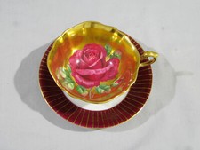 cabbage rose for sale cabbage rose for sale Shawnee