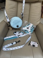 Doffle dog dachshund for sale  FAREHAM