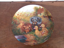 Assiette porcelaine bradex d'occasion Assiette porcelaine bradex d'occasion  France