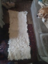 Genuine australian sheepskin for sale Genuine australian sheepskin for sale  HUDDERSFIELD