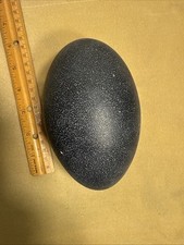 Genuine emu egg for sale  Kalamazoo