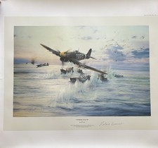 Robert taylor typhoon for sale Robert taylor typhoon for sale  OLDBURY
