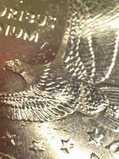 Sacagawea 1dollar coin for sale  New Orleans