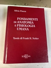 B28 fondamenti anatomia usato  Roma