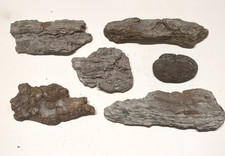 Driftwood mixed collection for sale Driftwood mixed collection for sale  TAUNTON