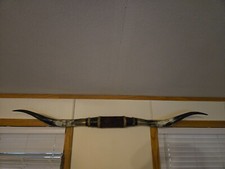 Inch long horn for sale  Bristolville