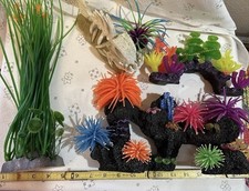 Coral reef pink for sale  Harwood