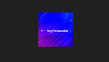 Big fish audio for sale  Shipping to United Kingdom