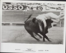 Torero 1957 8x10 for sale  San Antonio