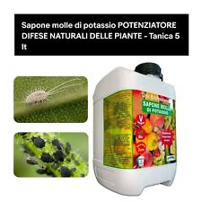 Sapone molle potassio usato  San Giovanni Rotondo