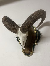 Mufflon trophäe gebraucht kaufen Mufflon trophäe gebraucht kaufen  Piding