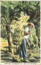 Brazil - Santos - Carregador com cacho de bananas -665646 comprar usado  Enviando para Brazil