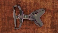 Hunter geschirr gebraucht kaufen  Ralingen