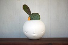 Testa vaso yoskay usato  Spedire a Italy