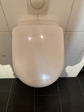 Toilette pissoir villeroy gebraucht kaufen  Hardheim