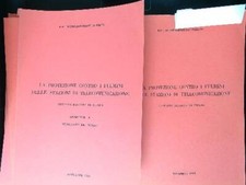 Protezione contro fulmini usato  Italia