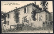Old postcard plan d'occasion  Expédié en Belgium