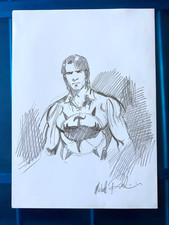 Zagor disegno originale usato  Terni