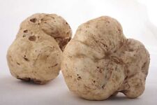 White oregon truffle for sale  USA