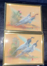 Gambel quail original for sale  Shipping to Ireland