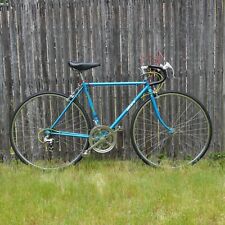 80s blue takara for sale  Warwick