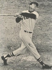 Ted williams signed for sale  Colorado Springs