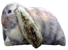 Kissen hasenform gebraucht kaufen  Friedberg