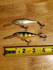 Rapala shad rap for sale  Chicago