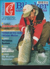 Blinker ausgabe 2002 gebraucht kaufen  Tespe
