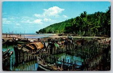 Penang malaysia fishing for sale  Petersburg