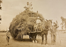 1925 farm woman for sale  New Hartford