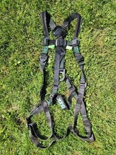 Buckingham style harness for sale  Lily