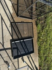 Segawe black parrot for sale  Clearfield