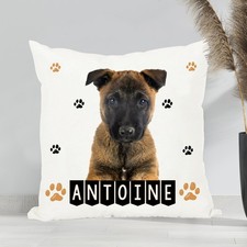 Coussin chiot malinois d'occasion  Saint-Martin-Boulogne