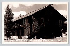 Postcard michigan rppc for sale  Okemos