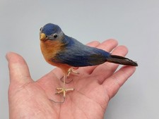 Vintage 1950 bluebird for sale Vintage 1950 bluebird for sale  DUDLEY