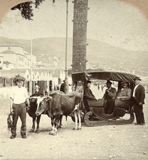 Usado, Portogallo Trasporto Tipico Di Madeira C1900 Foto Stereo Wright Vintage Citrato comprar usado  Enviando para Brazil