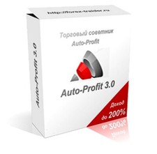 Auto profit v.3.0 usato  Budrio