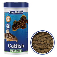 King british catfish for sale  SPALDING