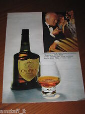 Oro pilla brandy usato  Italia