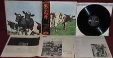 Pink floyd atom usato  Zone
