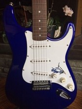 Vanessa carlton hand for sale  Newburgh