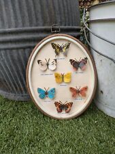 Vintage ceramic butterflies for sale  NUNEATON