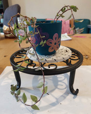 Rooted stems turtle for sale  MILTON KEYNES