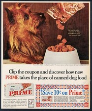 1964 norwich terrier for sale  Denver